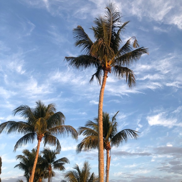 Meet your Posher, Janell - Picture 5 of 13